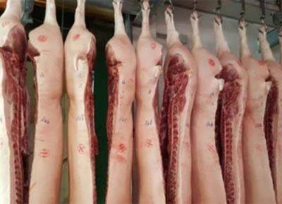 Argentina cierra la importación de carne de cerdo de Alemania por foco de peste porcina africana