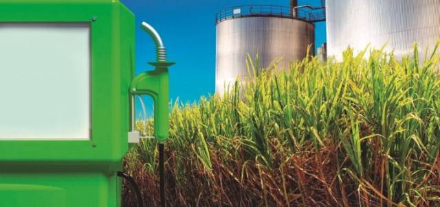 Biocombustibles: Piden la prórroga de la ley que legisla la actividad