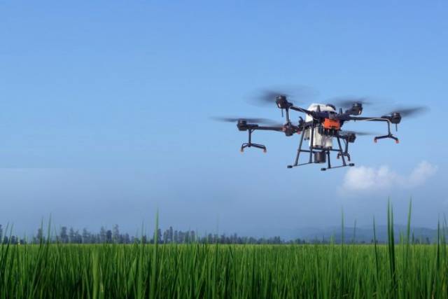 Los drones vuelan cada vez más alto en el agro