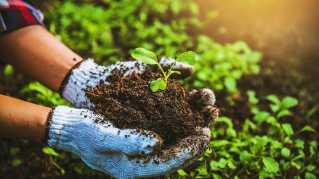Bayer anuncia alianzas clave en su Programa Pro-Carbono para impulsar la agricultura sustentable y combatir el cambio climático en Argentina.