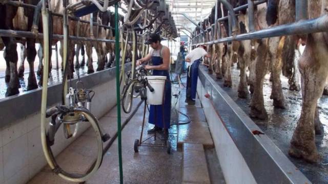 Que paso con la producción de leche en el 2022 y que se espera en el 2023