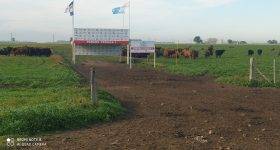 Este jueves 14 en Venado Tuerto, el IPCVA llevara adelante una nueva jornada: “Sistemas ganaderos de alta producción”