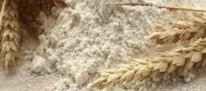 Un estudio previene que el problema de la celiaquía puede estar en el exceso de N en trigo